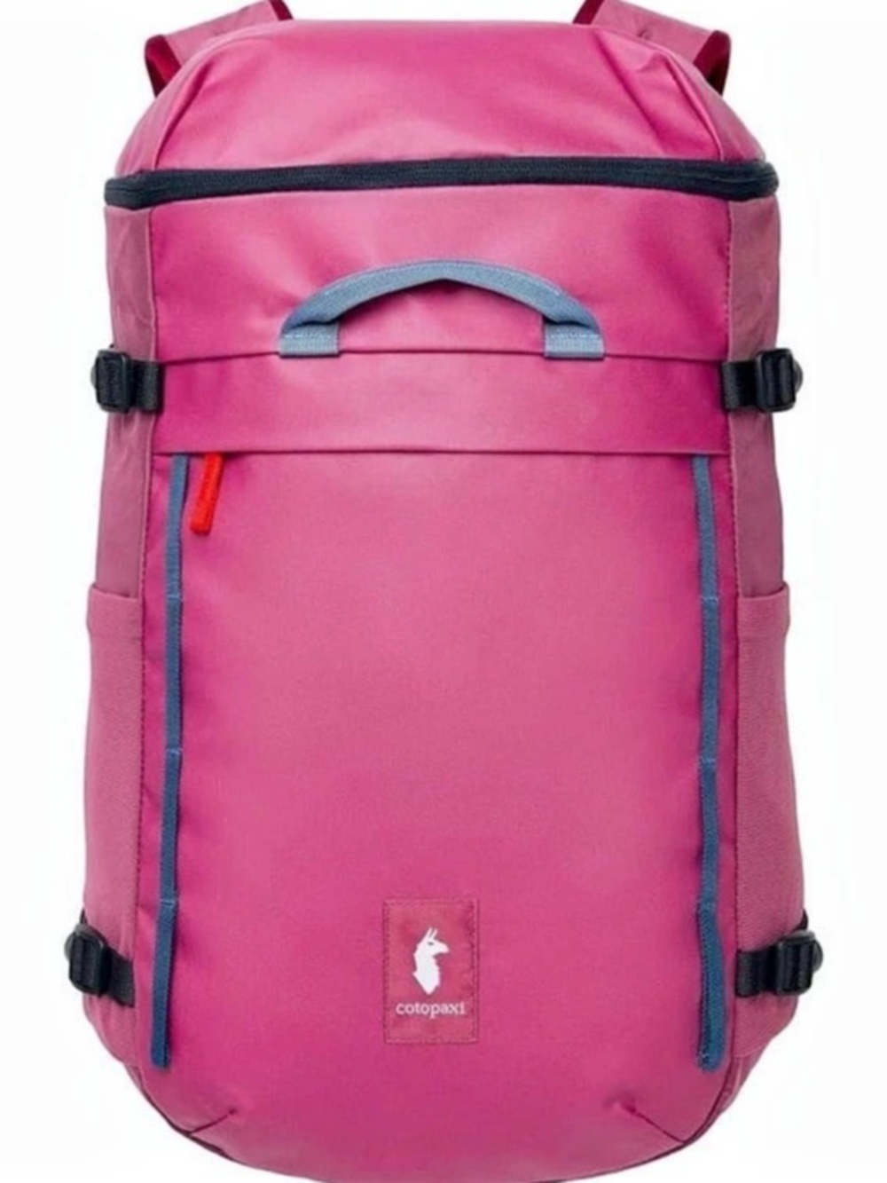 Cotopaxi Torre 24L Backpack in discontinued Fig color